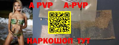 стаф Кингисепп