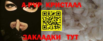 стаф Кингисепп