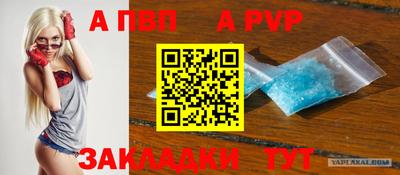 стаф Кингисепп