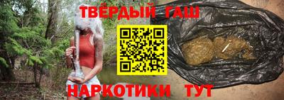 стаф Кингисепп